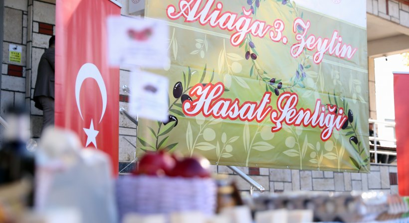 Aliağa’da 3. Zeytin Hasat Şenliği Düzenlendi